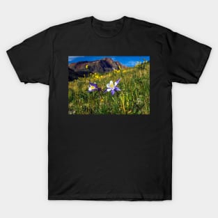 Blue Columbines in San Juan mountains T-Shirt